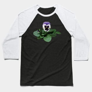 Pansies - Pansy Takes a Bow Baseball T-Shirt